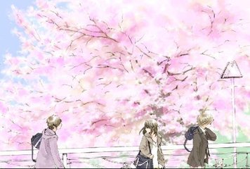 伊甸园2022入口一区